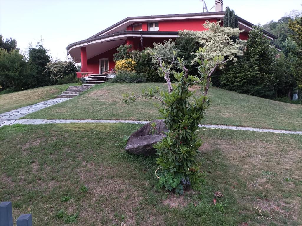un albero nell'erba di fronte a una casa di 'L SASS a Borgomanero