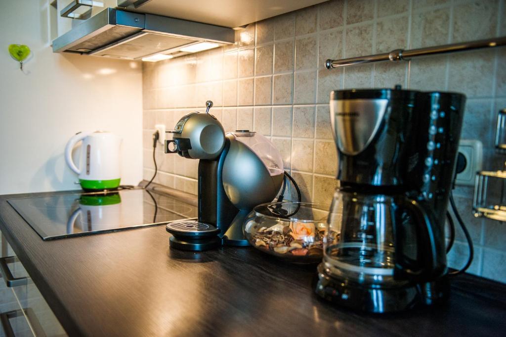 Kuchyň nebo kuchyňský kout v ubytování Downtown Apartment Nora