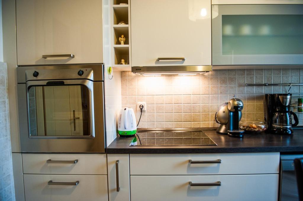 Kuchyň nebo kuchyňský kout v ubytování Downtown Apartment Nora