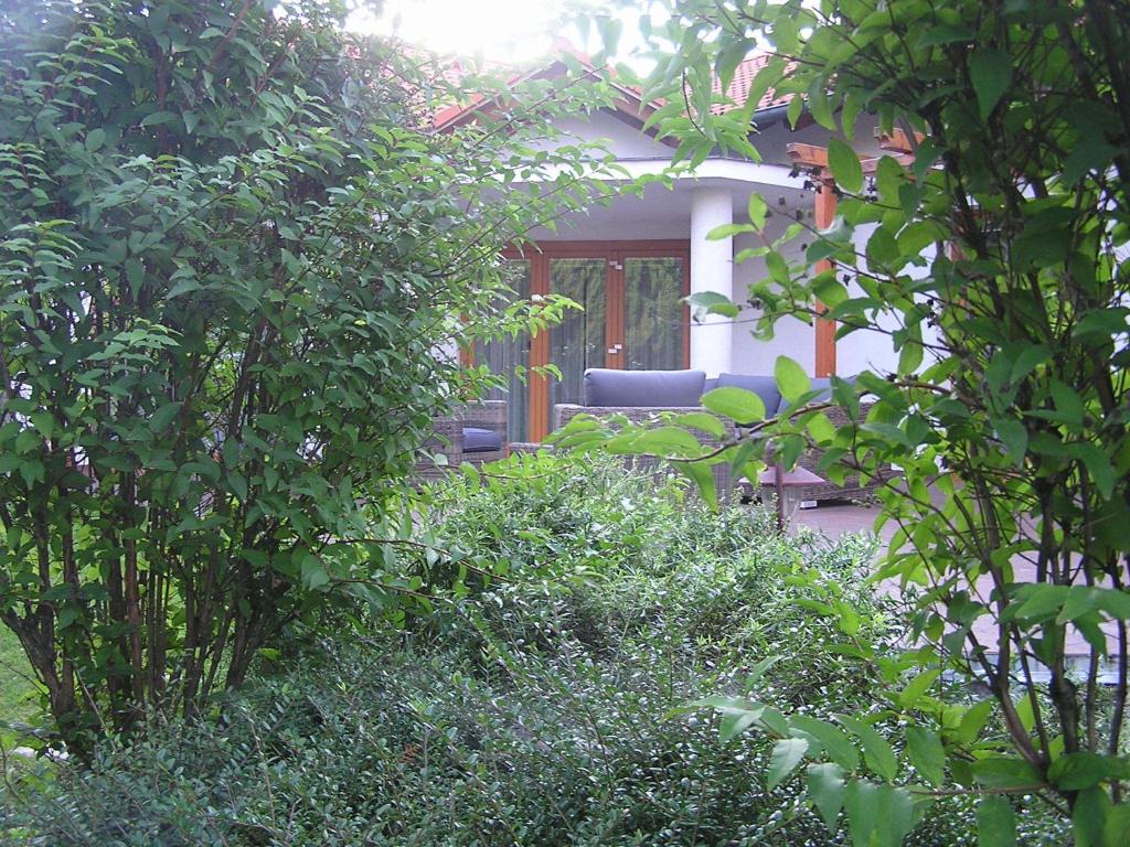 Vonkajšia záhrada v ubytovaní Villa Corvina