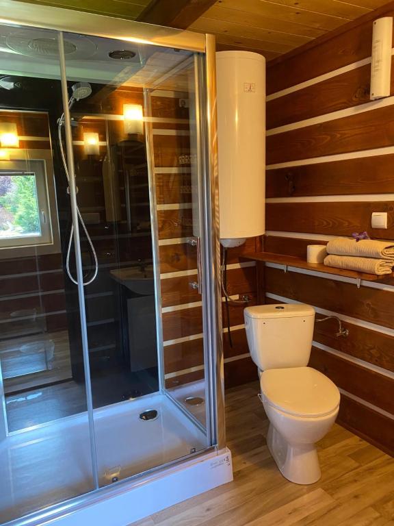 Koupelna v ubytování Apartmany Silver
