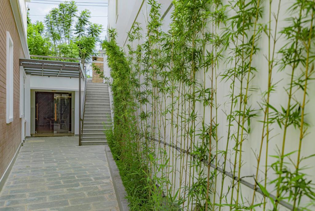 Vườn quanh An Mai Boutique Hotel