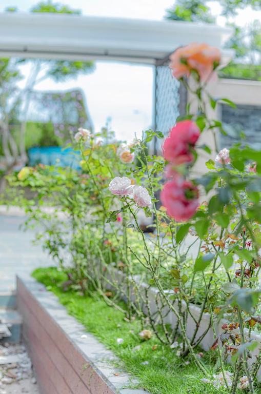Vườn quanh An Mai Boutique Hotel