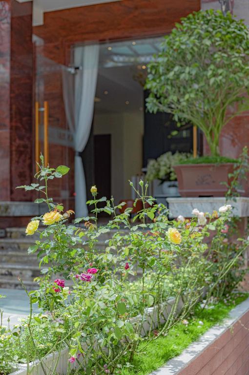 Vườn quanh An Mai Boutique Hotel
