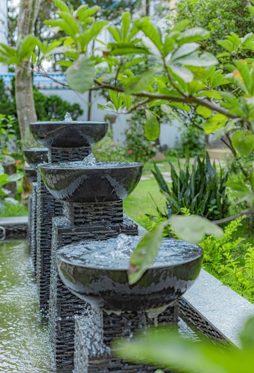 Vườn quanh An Mai Boutique Hotel