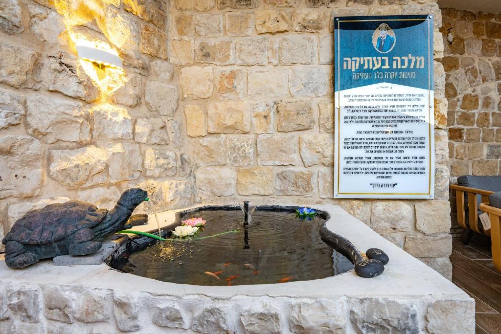Fotografie z fotogalerie ubytování מלכה בעתיקה v destinaci Safed