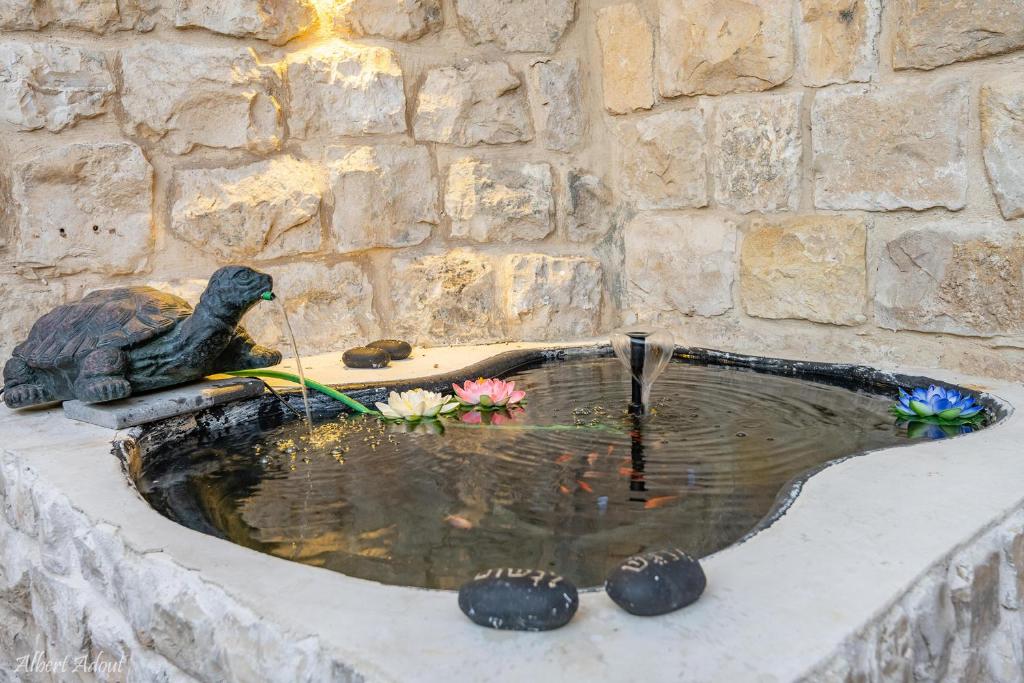 Fotografie z fotogalerie ubytování מלכה בעתיקה v destinaci Safed