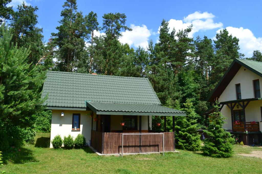 mały dom z zielonym dachem w obiekcie Domek w Sajenku w mieście Augustów