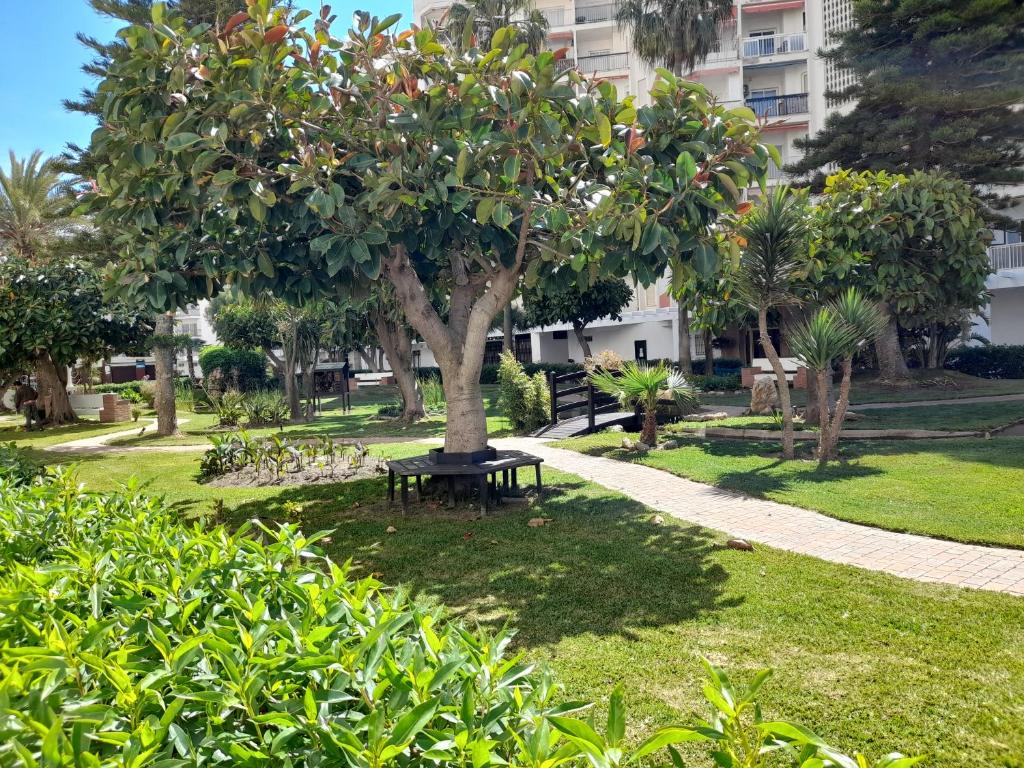 Apartamento de 4 a 6 pers Salobreña, Salobreña – Updated 2022 ...