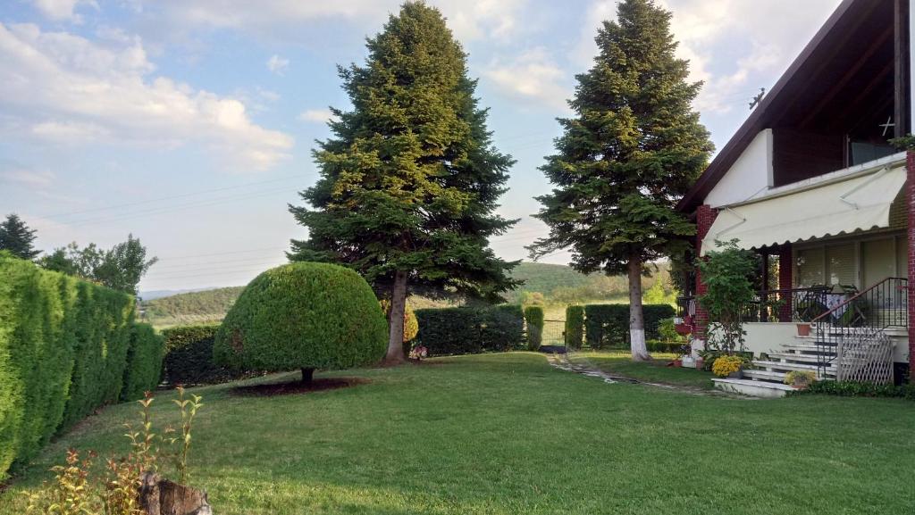 a yard with three trees and a house at Το σπίτι με τα έλατα 