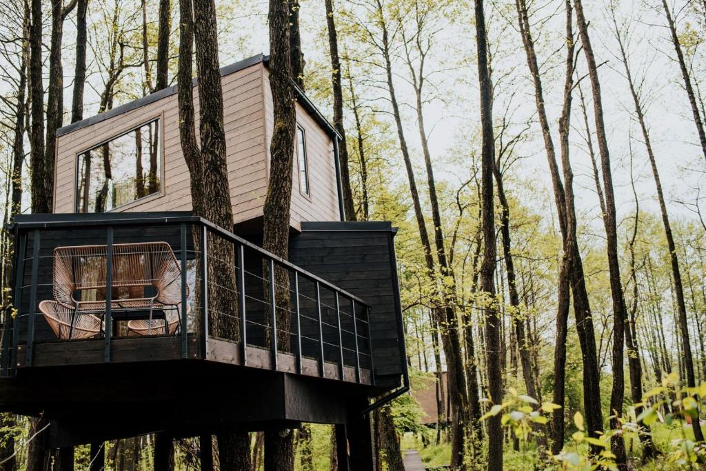 Dziki Las - domki na drzewach - One-Bedroom Chalet