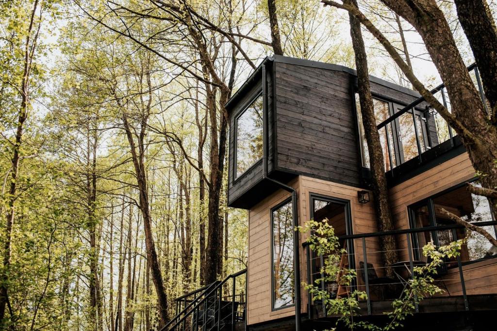 Dziki Las - domki na drzewach - One-Bedroom Chalet