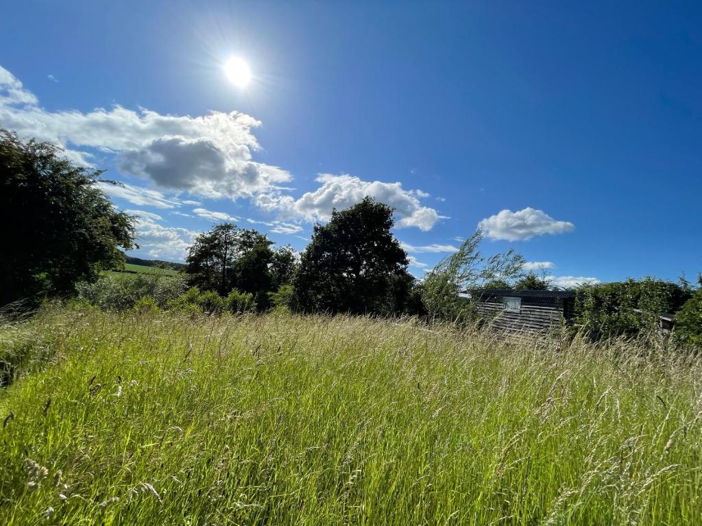 Chetwynd的住宿－Wellbank Shepherds Hut，天空中阳光灿烂的高大的草场