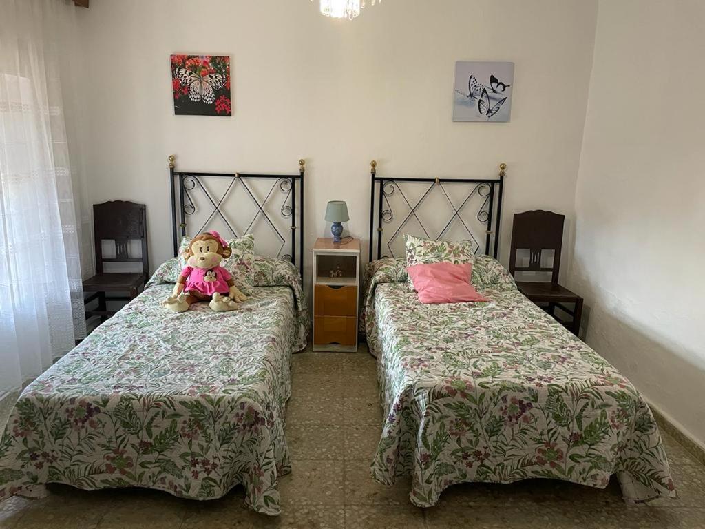 un orsacchiotto seduto su due letti in una camera da letto di Casa en arisgotas con encanto a Arisgotas