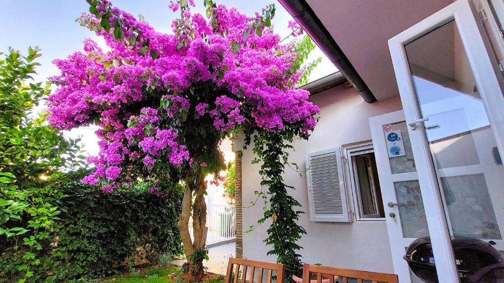 a bunch of purple flowers hanging from a building at Holiday home Zora - family vacation house near protected area of the Nature Park Kamenjak, with green yard, WiFi, Air-con in Premantura