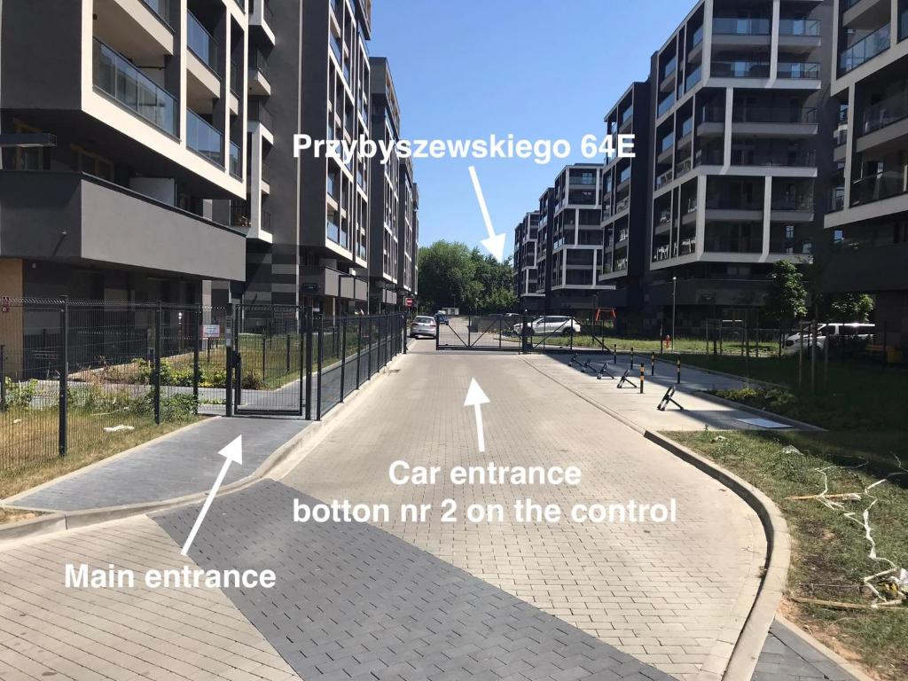 Pachecos' Garden - 4