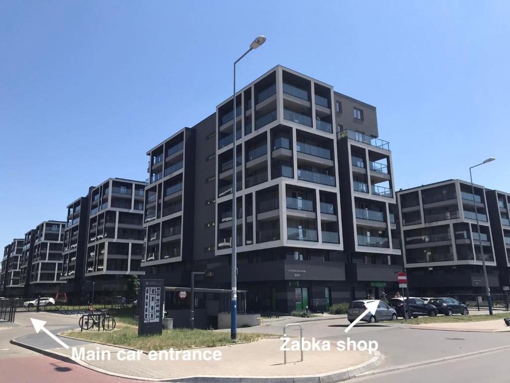 Pachecos' Garden - 17