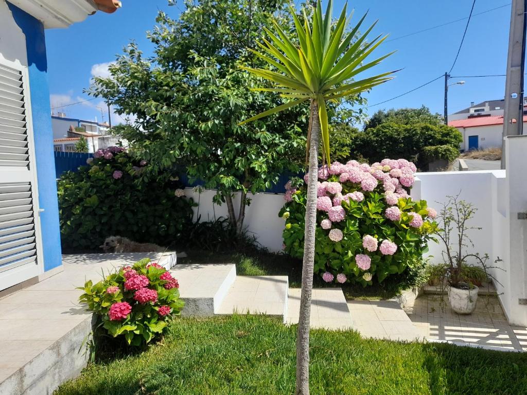 a garden with pink flowers and a palm tree at Villa Alegria in Ericeira