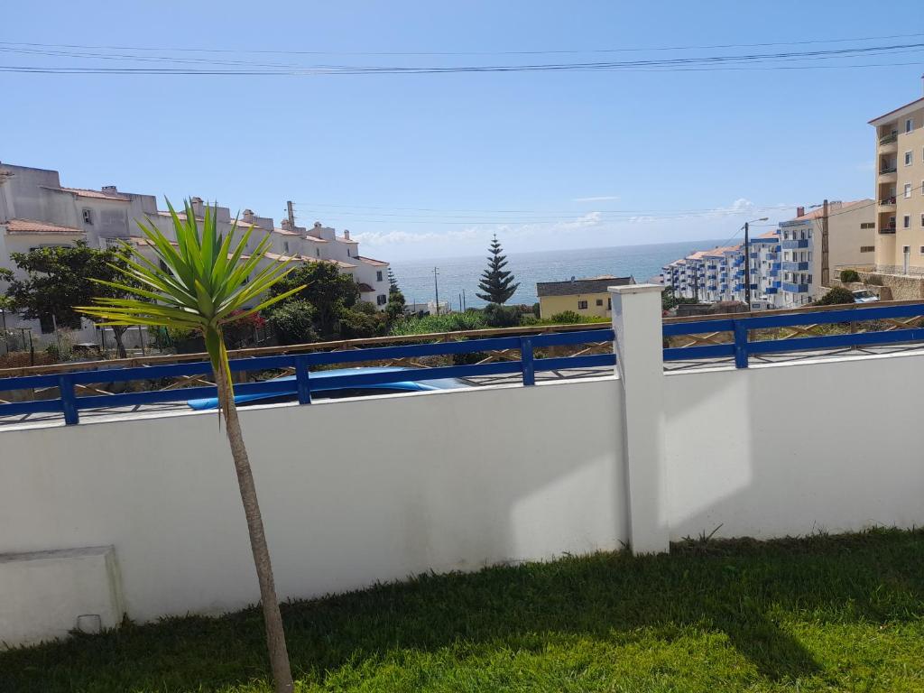 a palm tree sitting on top of a white wall at Villa Alegria in Ericeira