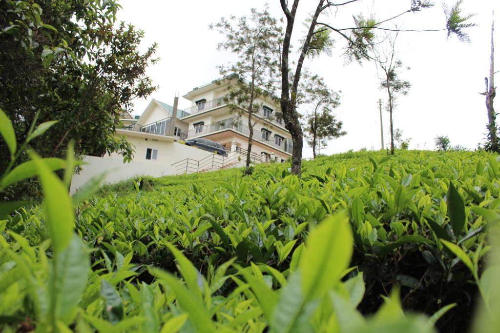Zahrada ubytování Pine Clough Resort Vagamon