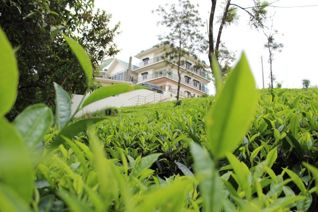 Zahrada ubytování Pine Clough Resort Vagamon