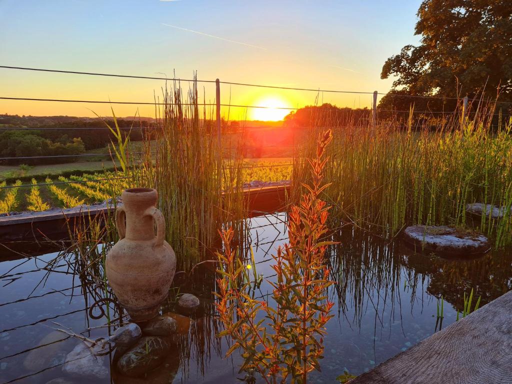 a sunset over a pond with a vase in the water at La Gironie in Pomport