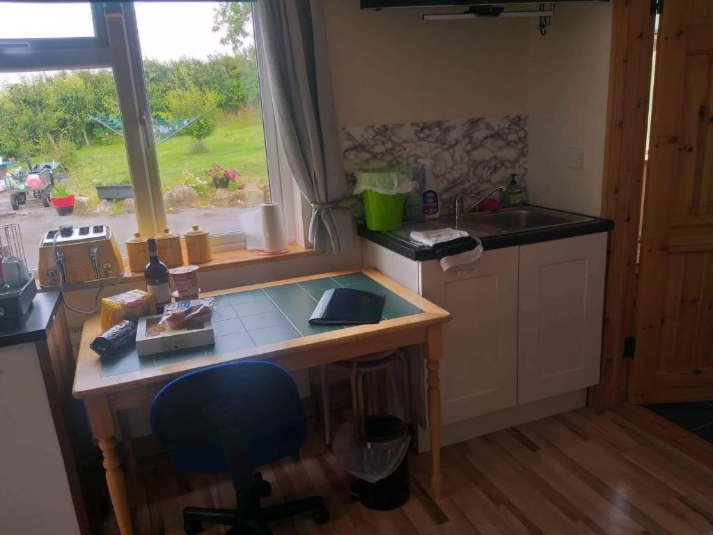 a kitchen with a counter and a sink and a window at Dolla in Nenagh