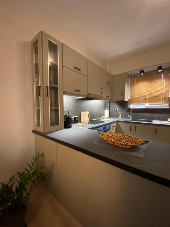 Kuchyňa alebo kuchynka v ubytovaní Cozy flat elix