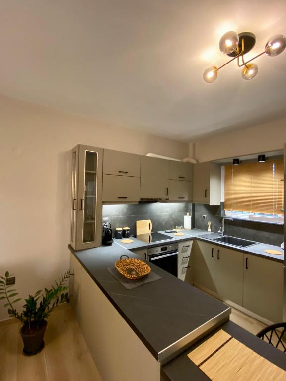 Kuchyňa alebo kuchynka v ubytovaní Cozy flat elix