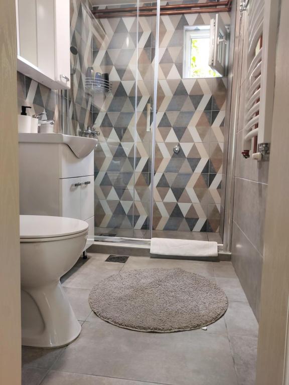 a bathroom with a shower with a toilet and a rug at Apartment Holiday in Vrnjačka Banja