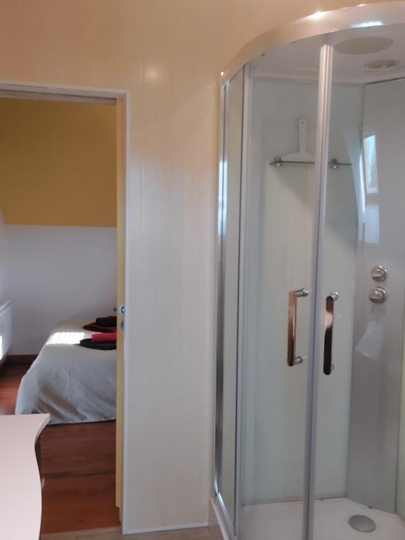 a bathroom with a glass shower with a bed at Appartement T2 Le bief des jardins in Bracieux