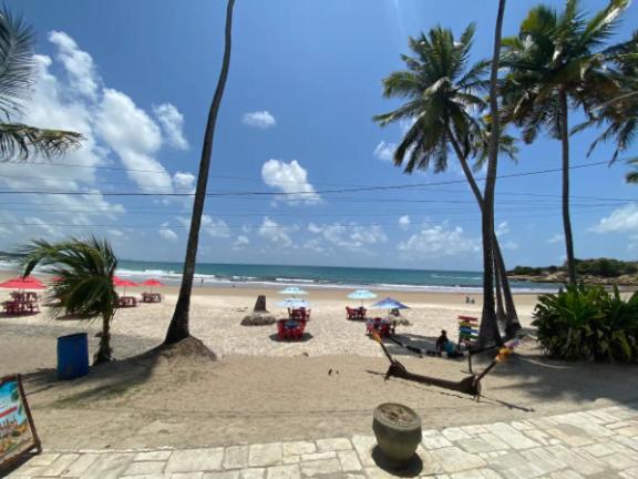 a beach with chairs and umbrellas and palm trees at Casa na Orla - Praia de Gaibu! in Cabo de Santo Agostinho