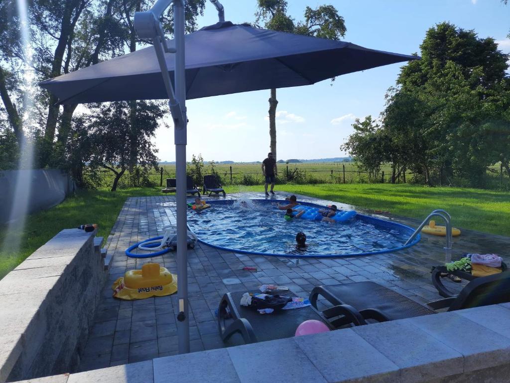 a pool with an umbrella and people playing in it at Black Horse in Pasłęk