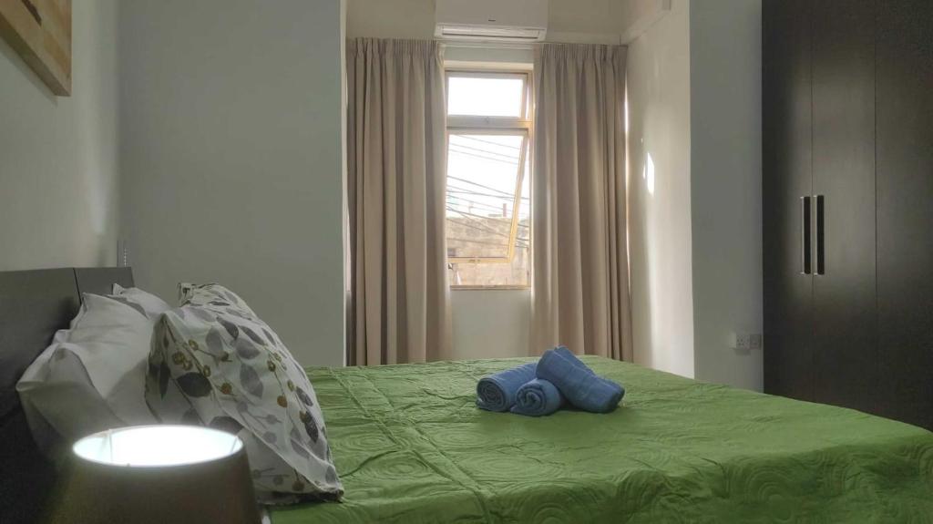 Postel nebo postele na pokoji v ubytování San Salvatore Home