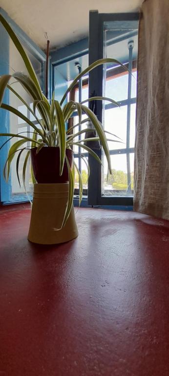 Apartment Slavija - Family Double Room