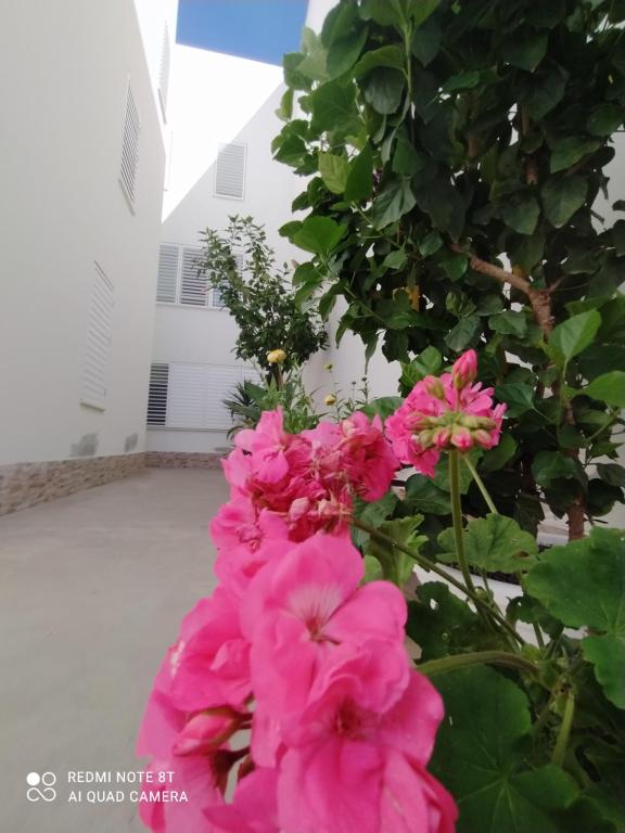 Ogród w obiekcie Ático-Duplex Las Palmeras