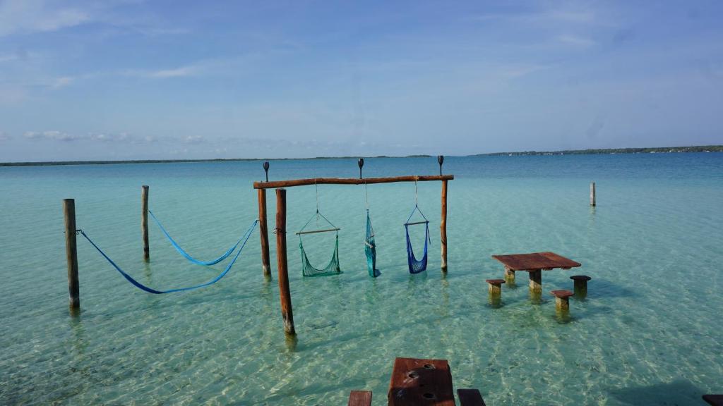 a beach with a swing in the water at Las Fridas in Bacalar