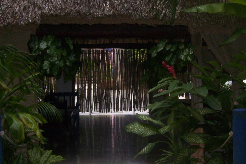 Fotografie z fotogalerie ubytování Posada El Jardin v destinaci Ticul