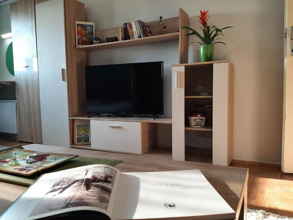 a living room with a tv and a book on a table at Vuk in Čačak