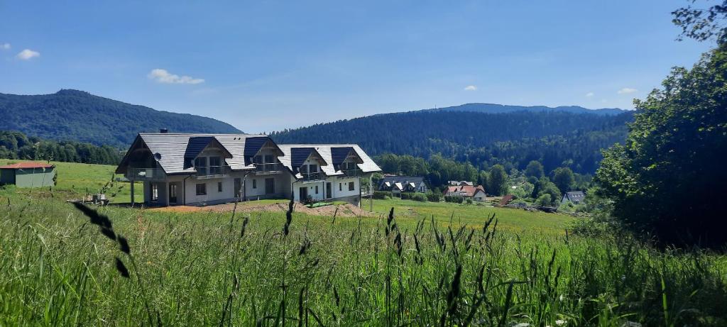 Táj Show homestays közelében