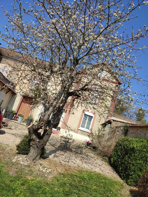 a tree in front of a house with a building at La maison fleurie 2 in Sainte-Geneviève-lès-Gasny