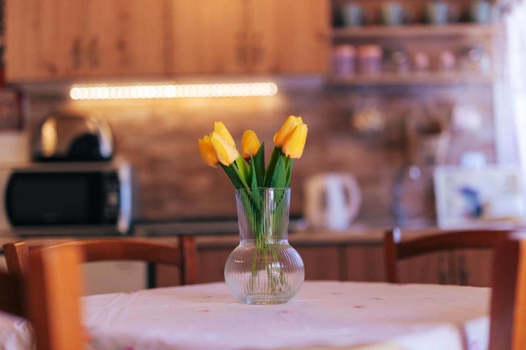 Kuchyň nebo kuchyňský kout v ubytování guesthouse LIPA
