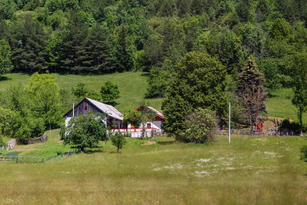 Příroda nedaleko vily