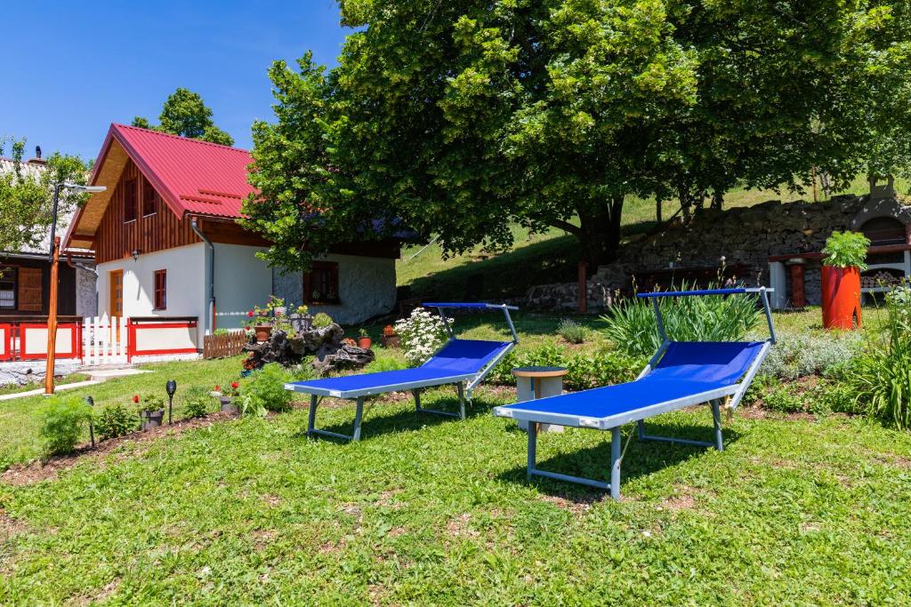 Zahrada ubytování guesthouse LIPA