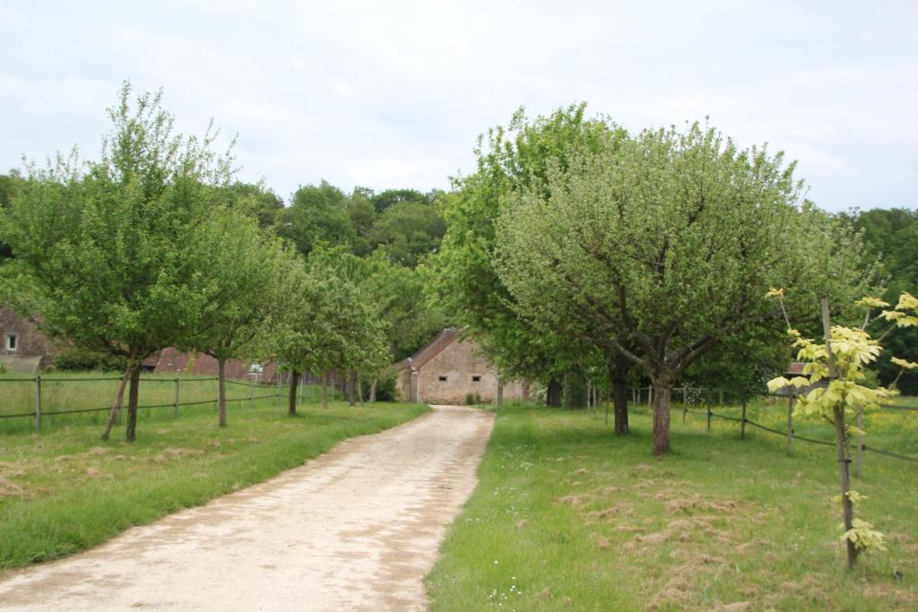 a dirt road through a field with trees at Gîte de la vallée in Saint-Hilaire-la-Gravelle