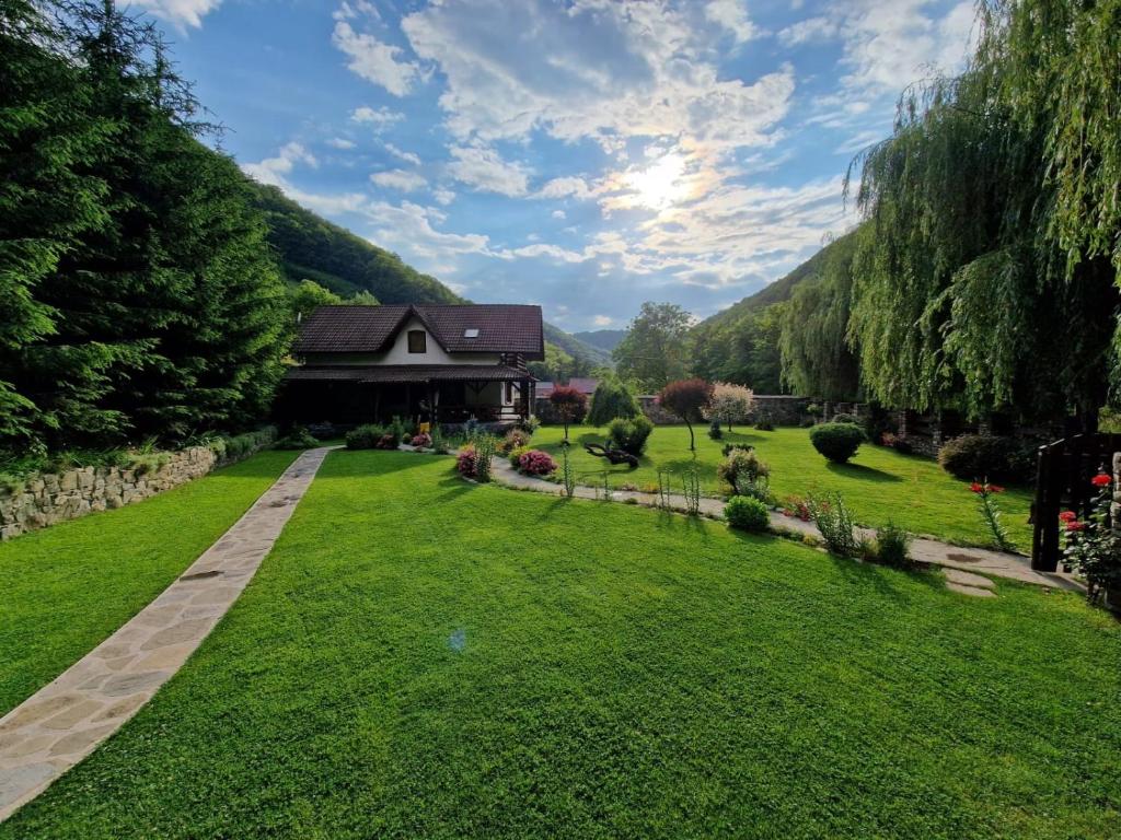 a view of a garden with a house at Casa de Piatra in Strungari