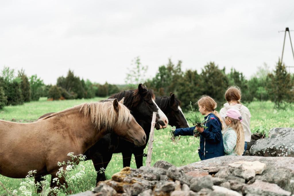 Zvířata v prázdninového domu nebo okolí