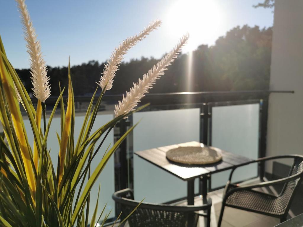 Príroda v okolí apartmánu