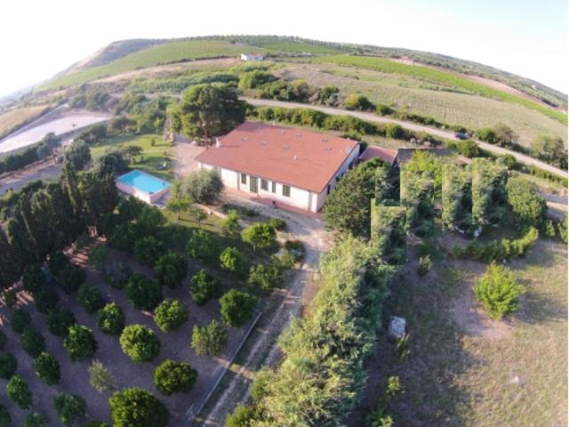 an aerial view of a house in a field with trees at Agriturismo Silis in Sennori