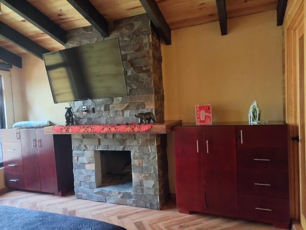 Kuchyň nebo kuchyňský kout v ubytování Cabaña Bagheera